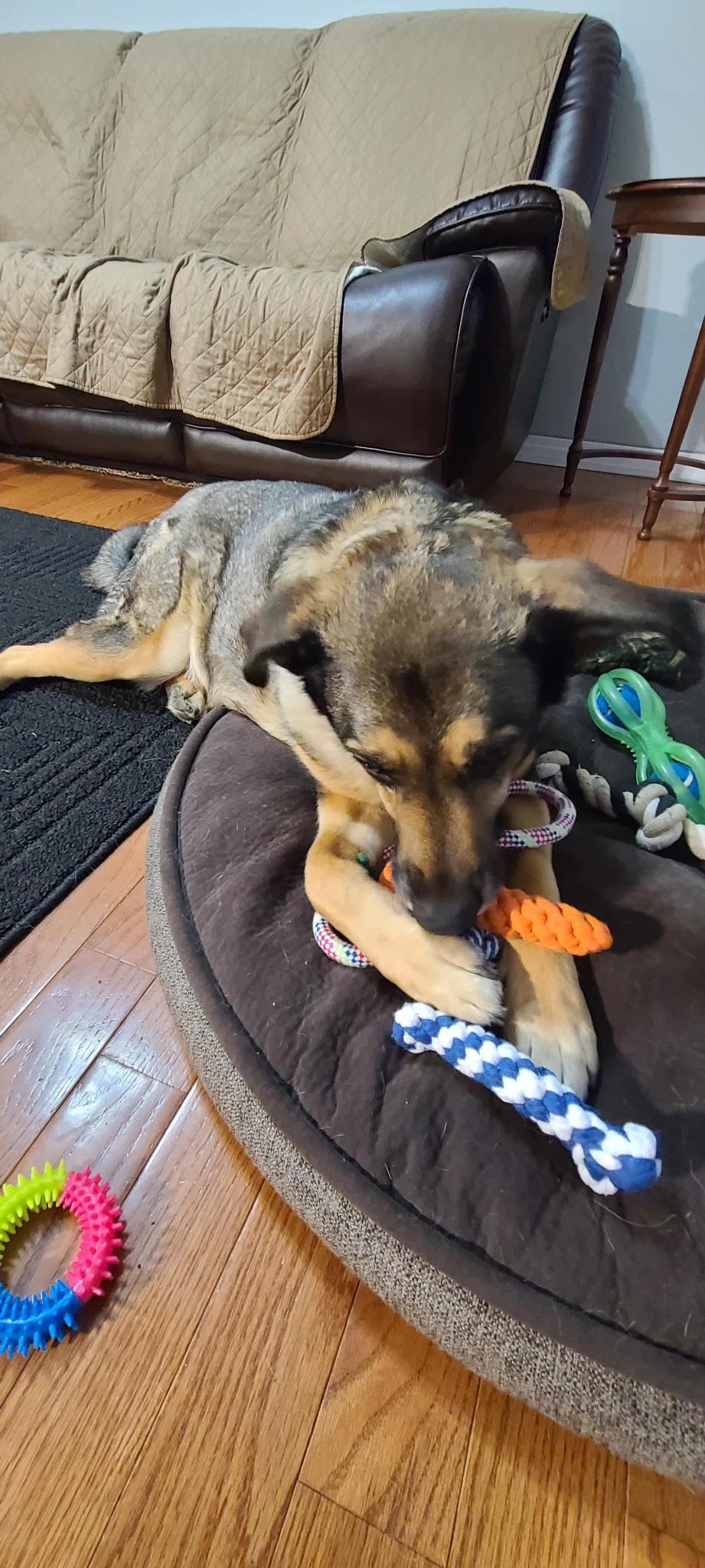 Happy customer enjoying the mixed toy pack