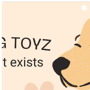 Instagram highlight 1