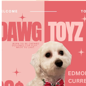 Instagram highlight 5