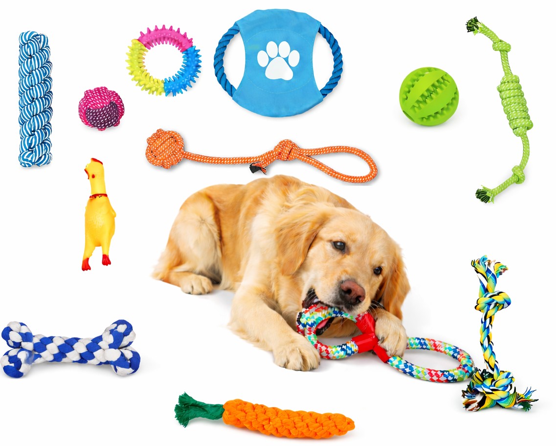 Dawg Toyz assorted toy set